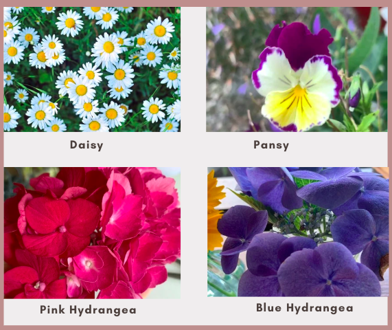 Collection of some easy to press flowers