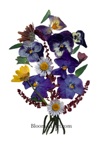 pressed flowers different pansies bouquet