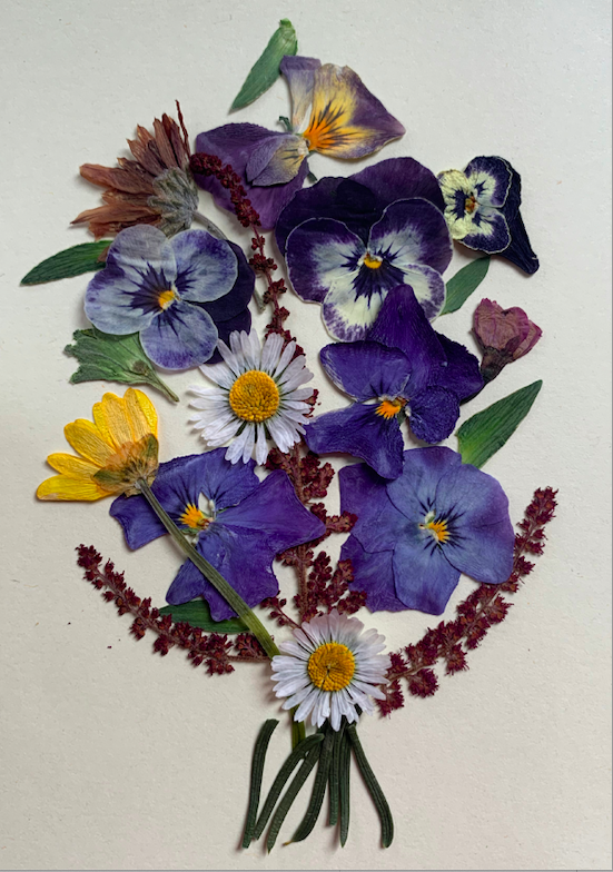 pressed pansies bouquet pressed pansies bouquet