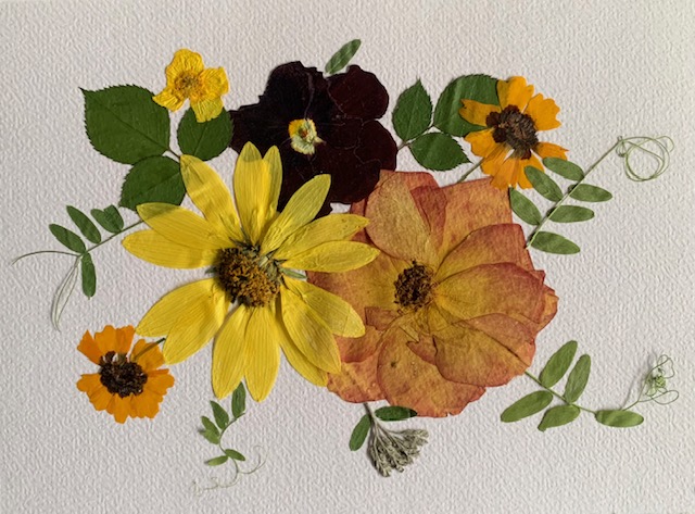 pressed flowers arrangement of roses, sunflowers, cosmos