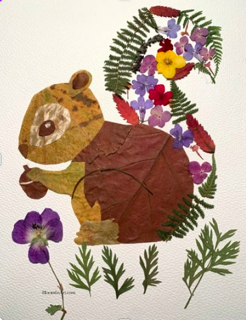 squirrel made with pressed leaves and pressed flowers